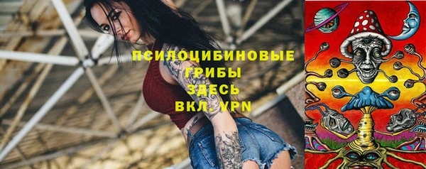 таблы Медногорск