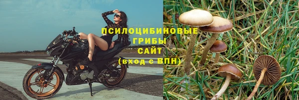прущая мука Медвежьегорск