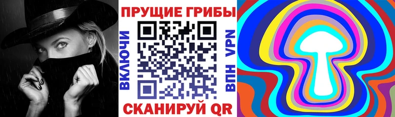 Купить закладки  Кукмор  Псилоцибиновые грибы ЛСД 